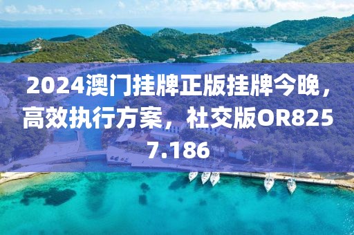 2024澳門掛牌正版掛牌今晚，高效執(zhí)行方案，社交版OR8257.186