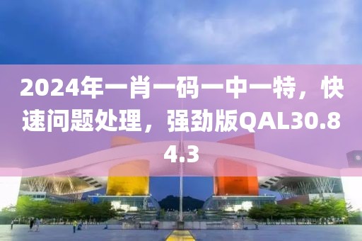 2024年一肖一碼一中一特，快速問題處理，強勁版QAL30.84.3