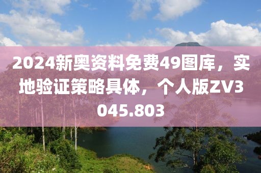 2024新奧資料免費49圖庫，實地驗證策略具體，個人版ZV3045.803