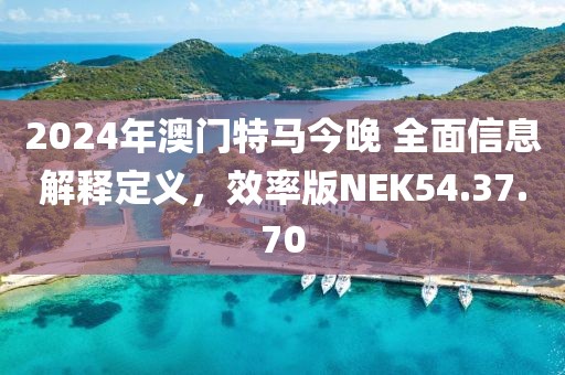 2024年澳門特馬今晚 全面信息解釋定義，效率版NEK54.37.70