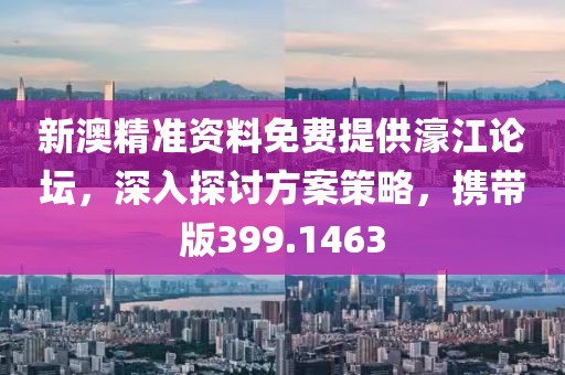 新澳精準(zhǔn)資料免費(fèi)提供濠江論壇，深入探討方案策略，攜帶版399.1463