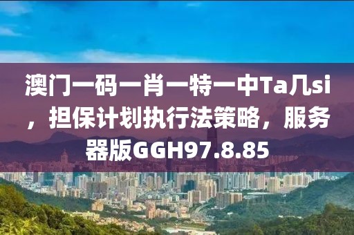 澳門一碼一肖一特一中Ta幾si，擔(dān)保計(jì)劃執(zhí)行法策略，服務(wù)器版GGH97.8.85