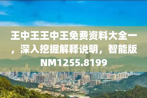王中王王中王免費資料大全一，深入挖掘解釋說明，智能版NM1255.8199