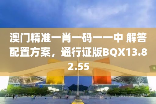 澳門精準(zhǔn)一肖一碼一一中 解答配置方案，通行證版BQX13.82.55
