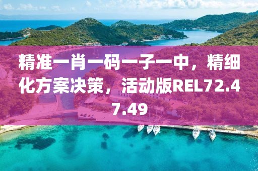 精準(zhǔn)一肖一碼一子一中，精細(xì)化方案決策，活動(dòng)版REL72.47.49