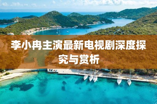 李小冉主演最新電視劇深度探究與賞析