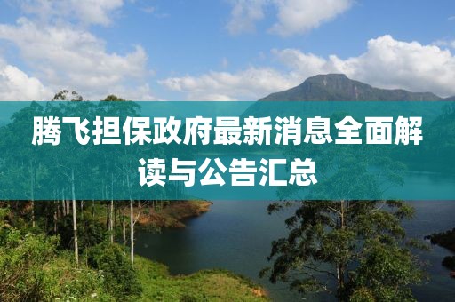 騰飛擔(dān)保政府最新消息全面解讀與公告匯總
