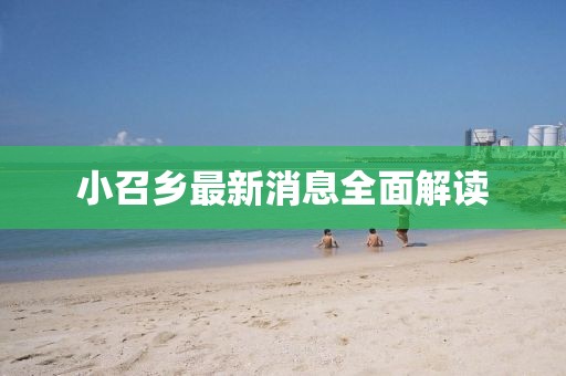 小召鄉(xiāng)最新消息全面解讀