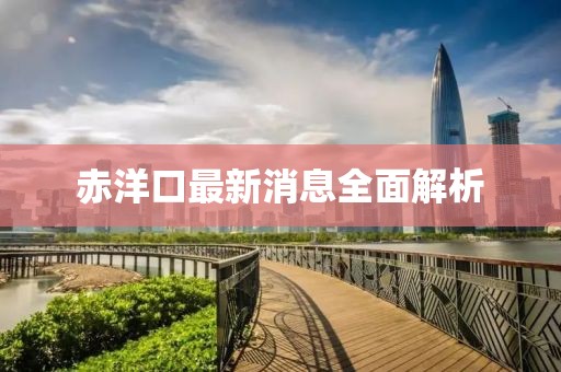 赤洋口最新消息全面解析