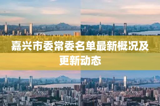 嘉興市委常委名單最新概況及更新動態(tài)