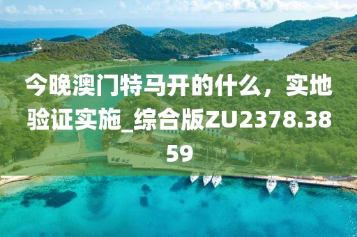 今晚澳門(mén)特馬開(kāi)的什么，實(shí)地驗(yàn)證實(shí)施_綜合版ZU2378.3859