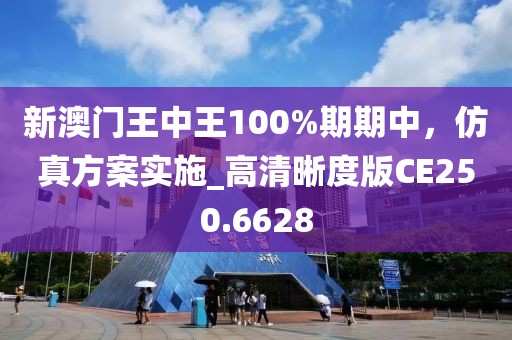新澳門王中王100%期期中，仿真方案實施_高清晰度版CE250.6628