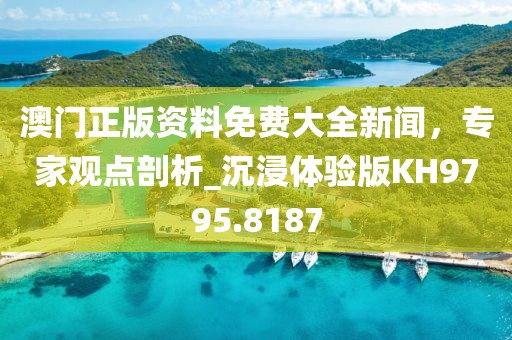 澳門正版資料免費大全新聞，專家觀點剖析_沉浸體驗版KH9795.8187