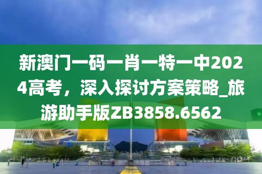 新澳門一碼一肖一特一中2024高考，深入探討方案策略_旅游助手版ZB3858.6562
