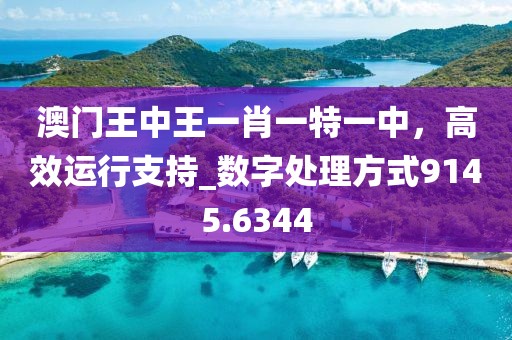澳門王中王一肖一特一中，高效運(yùn)行支持_數(shù)字處理方式9145.6344