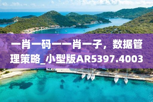 一肖一碼一一肖一子，數(shù)據(jù)管理策略_小型版AR5397.4003