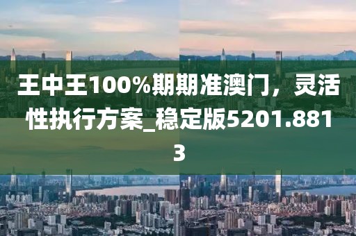 王中王100%期期準(zhǔn)澳門，靈活性執(zhí)行方案_穩(wěn)定版5201.8813