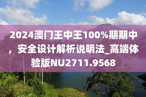 2024澳門王中王100%期期中，安全設(shè)計(jì)解析說明法_高端體驗(yàn)版NU2711.9568