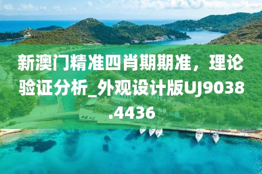 新澳門精準四肖期期準，理論驗證分析_外觀設計版UJ9038.4436