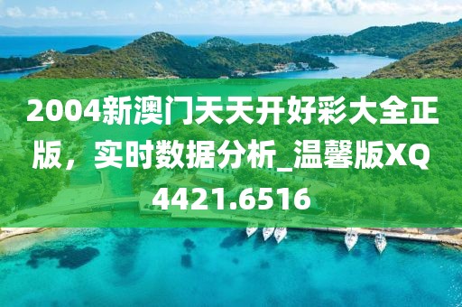 2004新澳門天天開好彩大全正版，實(shí)時(shí)數(shù)據(jù)分析_溫馨版XQ4421.6516
