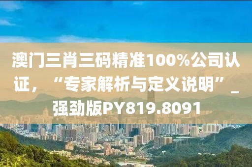 澳門三肖三碼精準100%公司認證，“專家解析與定義說明”_強勁版PY819.8091