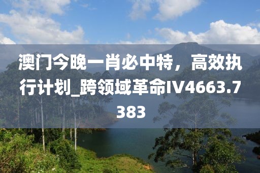 澳門今晚一肖必中特，高效執(zhí)行計劃_跨領域革命IV4663.7383