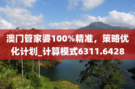 澳門(mén)管家婆100%精準(zhǔn)，策略?xún)?yōu)化計(jì)劃_計(jì)算模式6311.6428