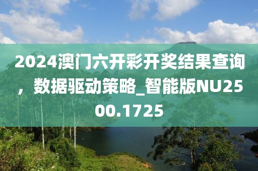 2024澳門六開彩開獎(jiǎng)結(jié)果查詢，數(shù)據(jù)驅(qū)動(dòng)策略_智能版NU2500.1725