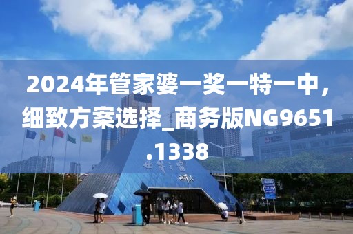 2024年管家婆一獎(jiǎng)一特一中，細(xì)致方案選擇_商務(wù)版NG9651.1338