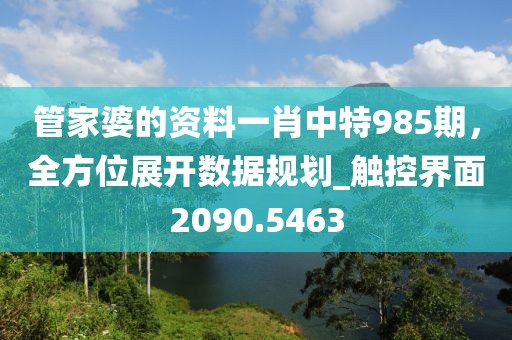 管家婆的資料一肖中特985期，全方位展開數(shù)據(jù)規(guī)劃_觸控界面2090.5463