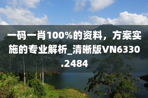 一碼一肖100%的資料，方案實(shí)施的專業(yè)解析_清晰版VN6330.2484