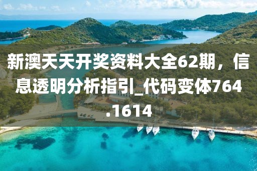 新澳天天開獎資料大全62期，信息透明分析指引_代碼變體764.1614
