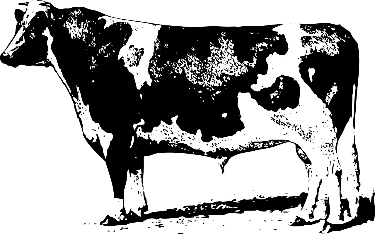 建筑工程技術(shù)咨詢 第1275頁