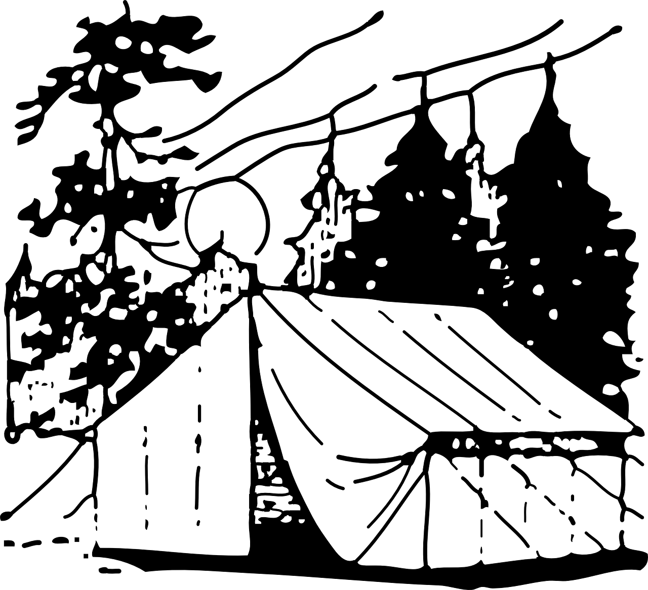 韓寶儀音樂之旅開啟全新篇章，最新消息及動(dòng)態(tài)速遞