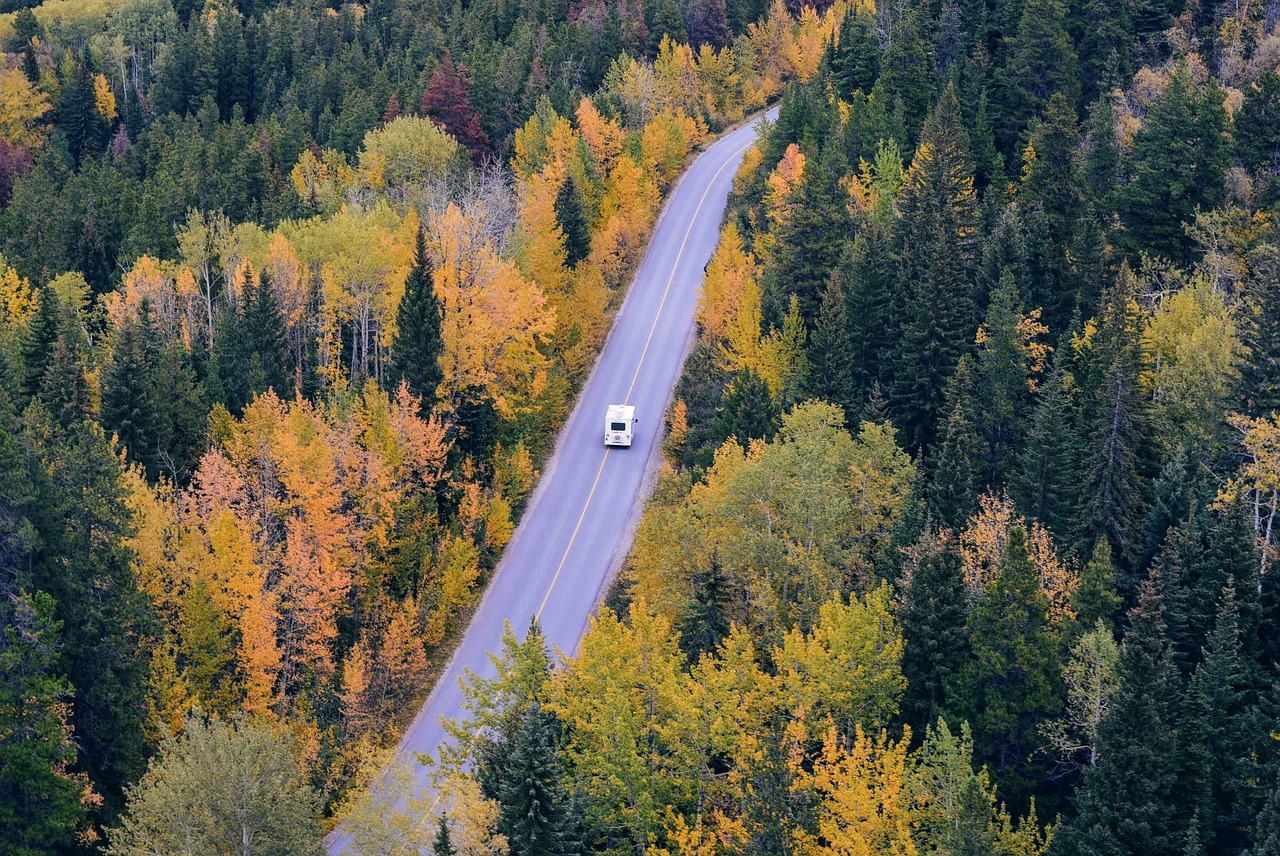 阜陽阜之旅最新線路探索與體驗