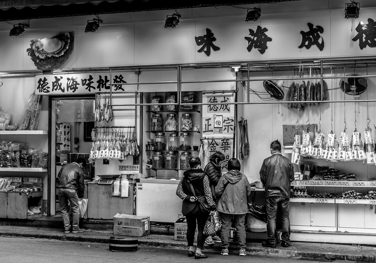 陽西源河鴻景最新動態(tài)，城市發(fā)展的矚目焦點