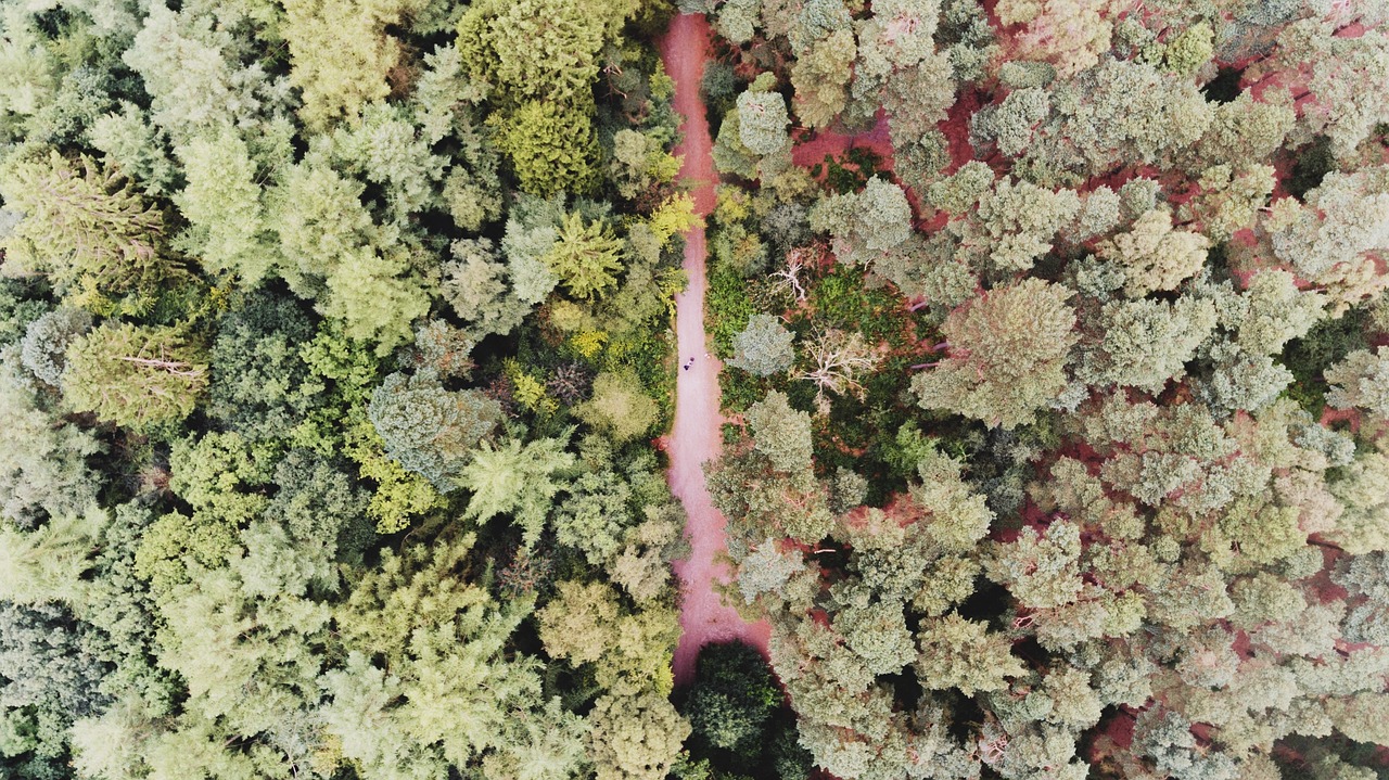 華陽北京街最新動態(tài)揭秘，城市前沿發(fā)展觀察