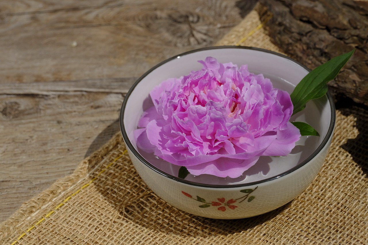華地森林語最新房價動態(tài)及深度解析，前景展望與趨勢預(yù)測