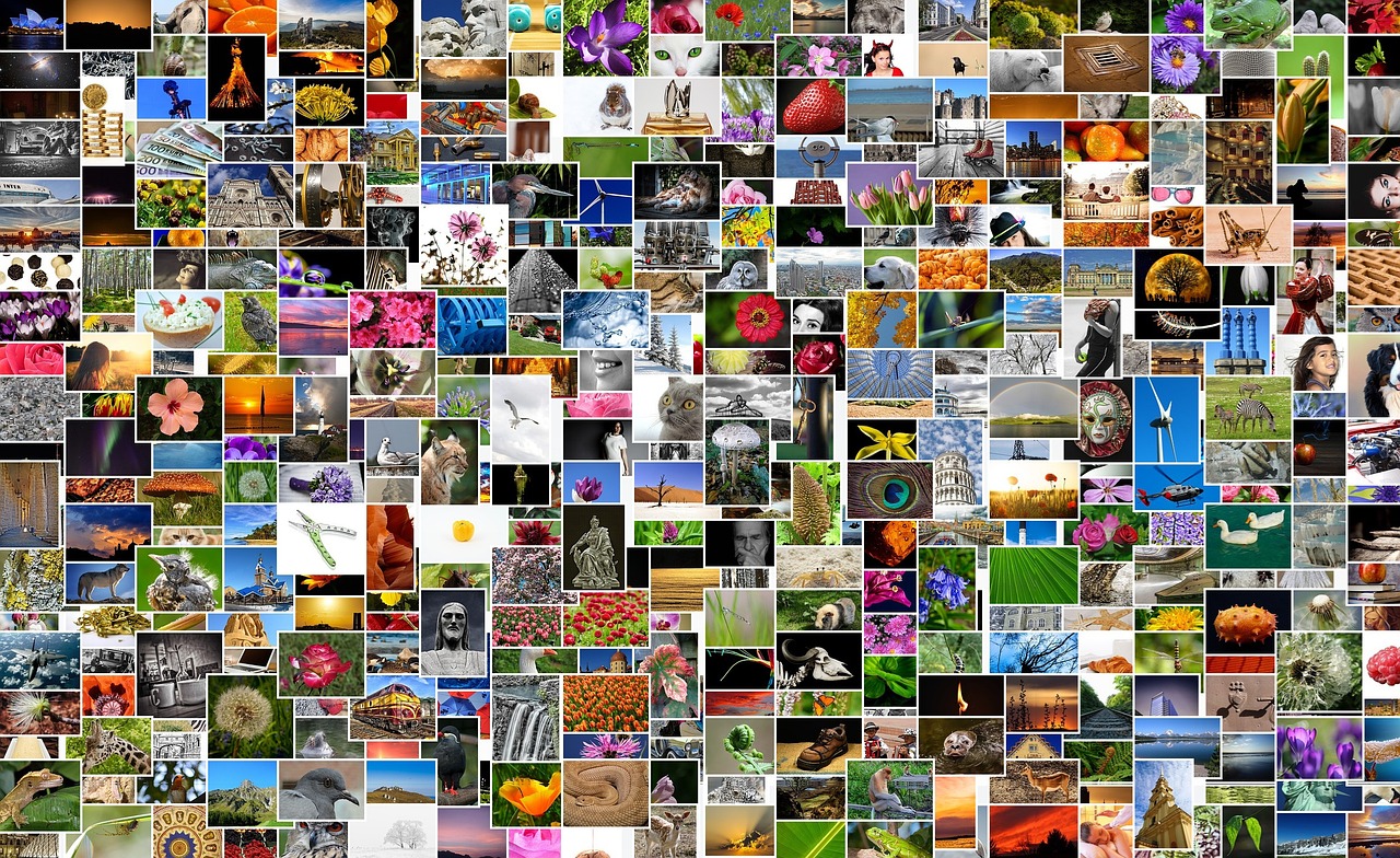 2024新澳門特免費資料的特點，可依賴操作方案_物聯(lián)網版BSE49.76.59