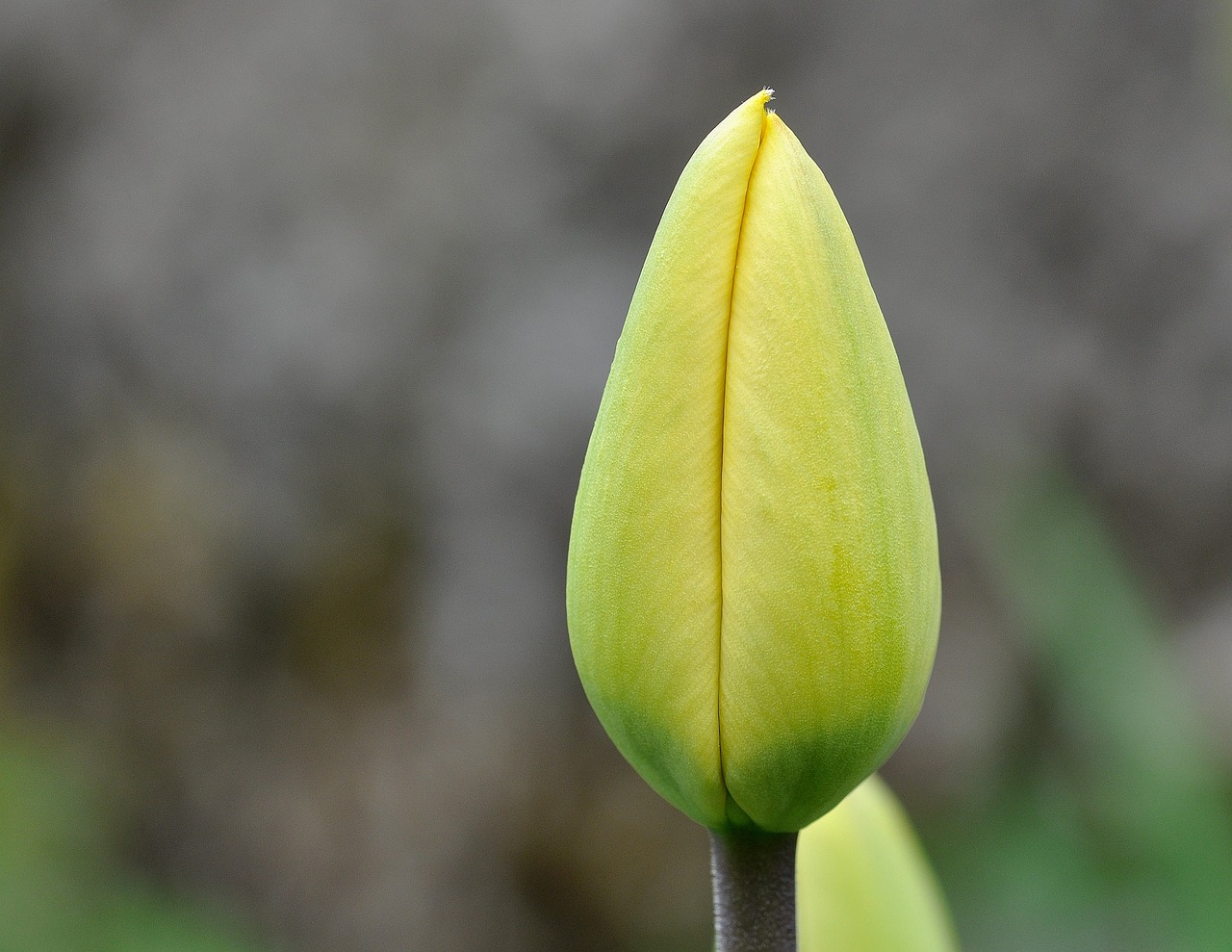 揚(yáng)帆起航 第34頁