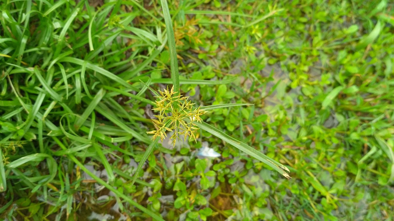 花橋可逸蘭亭最新房價(jià)動(dòng)態(tài)分析與趨勢預(yù)測