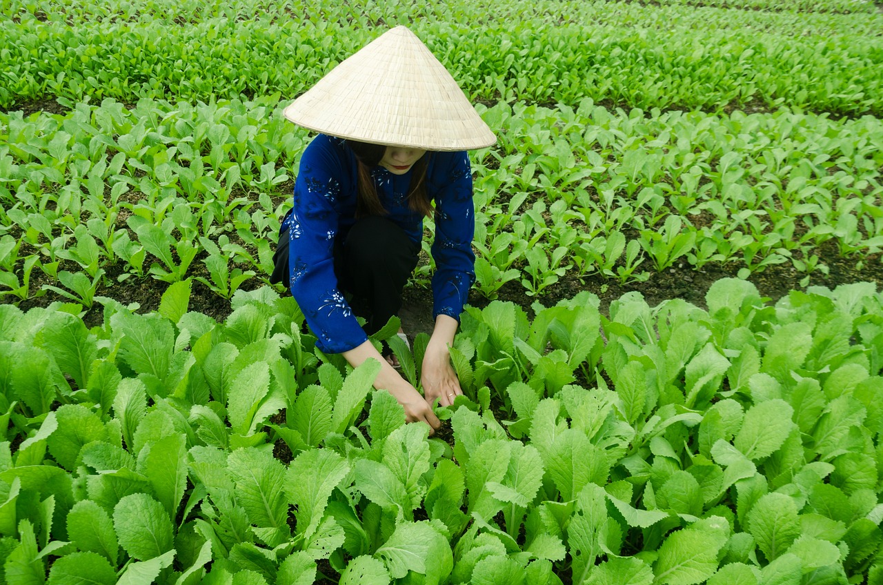 寧遠(yuǎn)紅網(wǎng)聚焦，2016年發(fā)展動(dòng)態(tài)最新消息