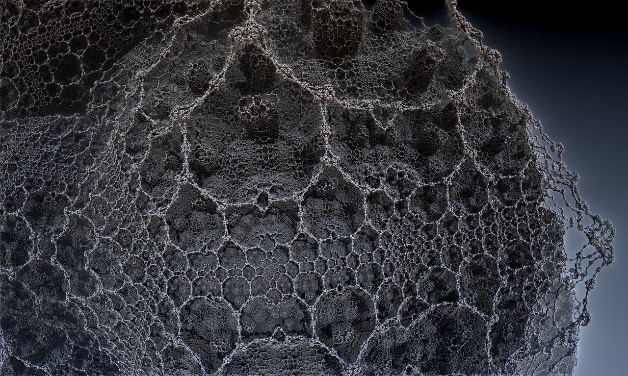 洛陽劉進(jìn)錄最新動態(tài)，傳奇人物的嶄新篇章