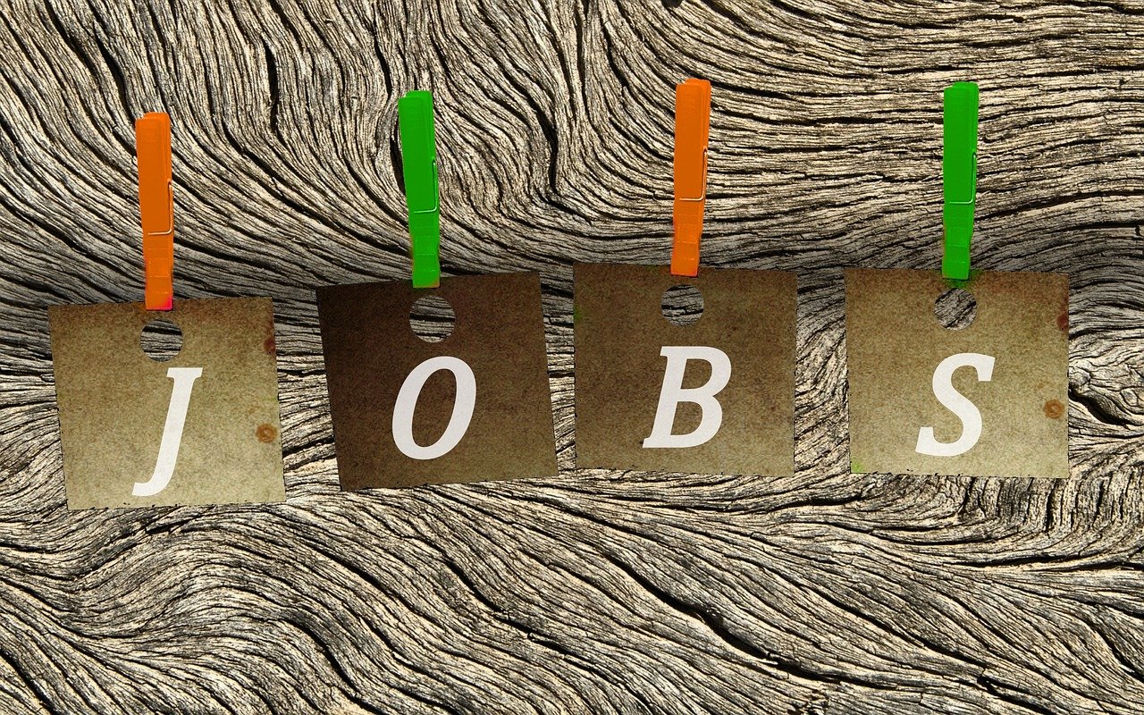 大方人才網最新招聘動態(tài)，探索職業(yè)發(fā)展無限可能