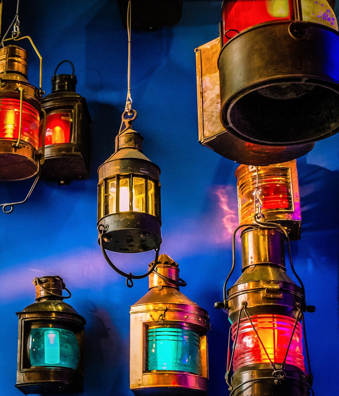 四會市生豬最新報價及其動態(tài)分析概覽