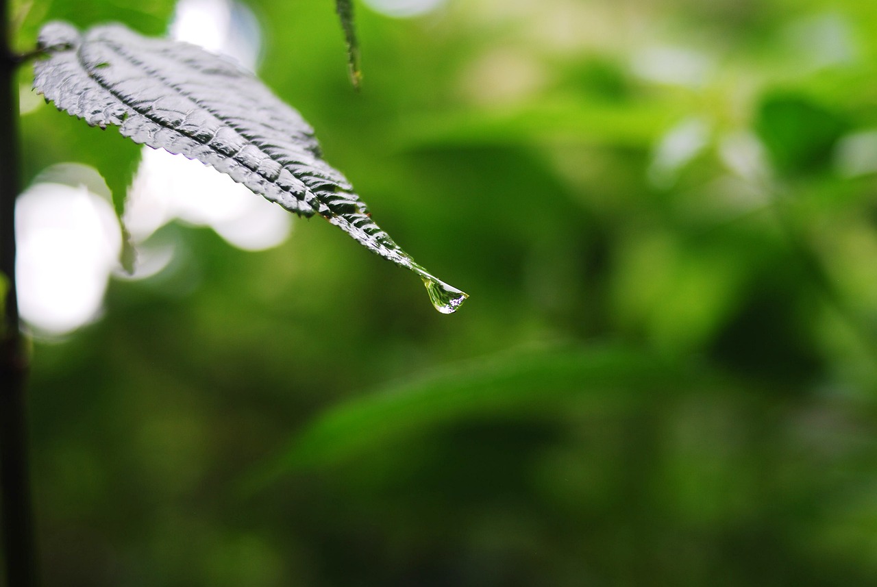中房潯陽城最新消息全面解析與動(dòng)態(tài)速遞