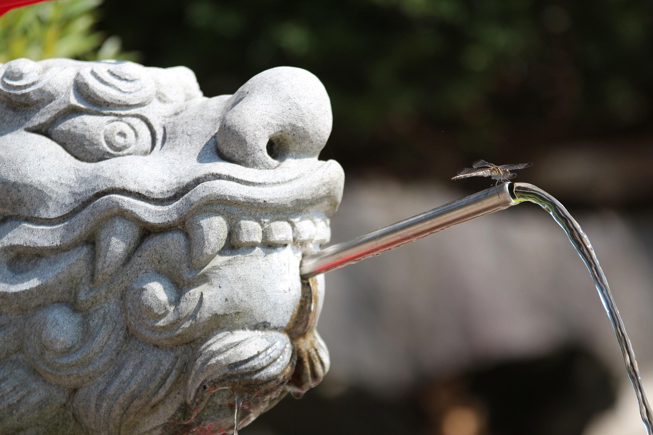 壽縣迎河鎮(zhèn)最新發(fā)展動態(tài)及前景展望