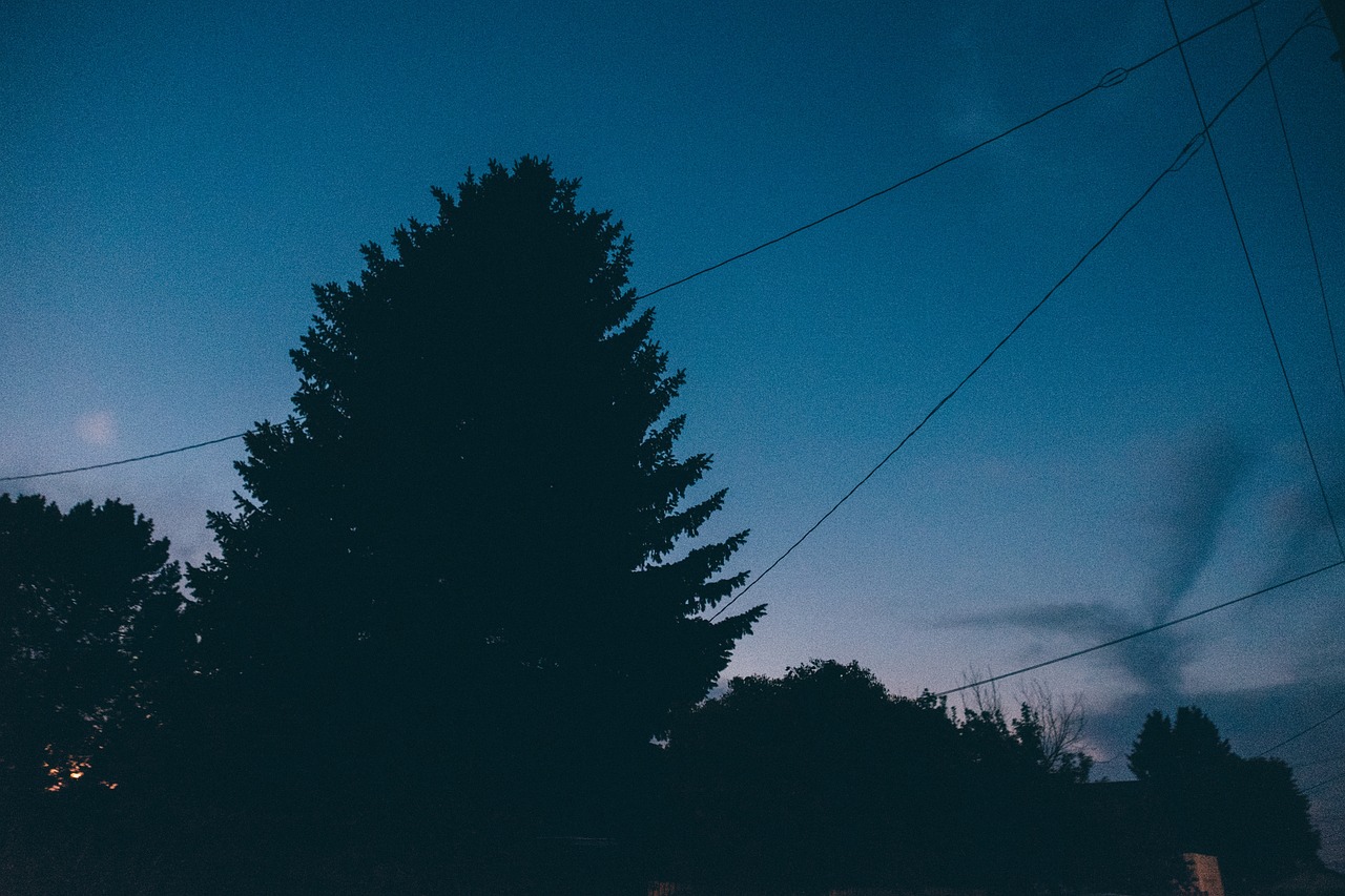 株洲夜歌子，城市夜晚的旋律與獨特風情