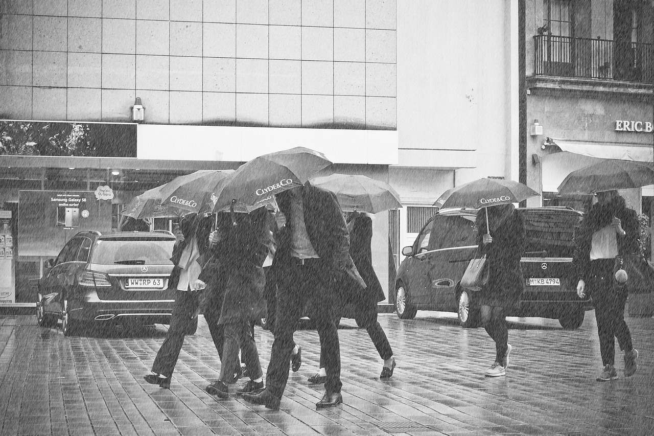 沈陽暴雨最新視頻報道，城市暴雨應對挑戰(zhàn)的觀察與行動