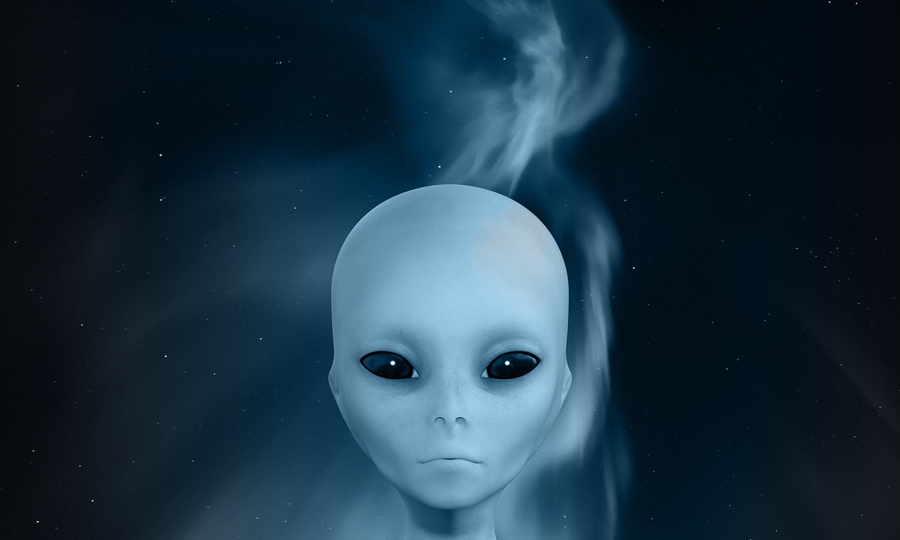 芭比最新大電影，夢幻與現(xiàn)實之碰撞的奇幻之旅